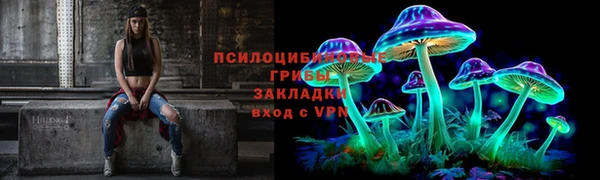 spice Гусиноозёрск