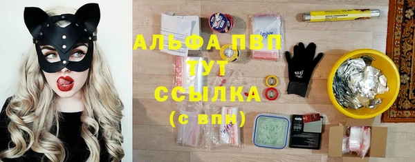 спайс Алзамай
