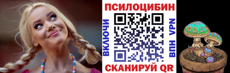 Псилоцибиновые грибы MAGIC MUSHROOMS  купить наркотик  Вихоревка 